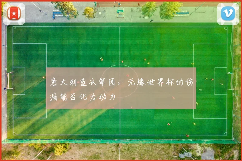 意大利蓝衣军团，无缘世界杯的伤痛能否化为动力